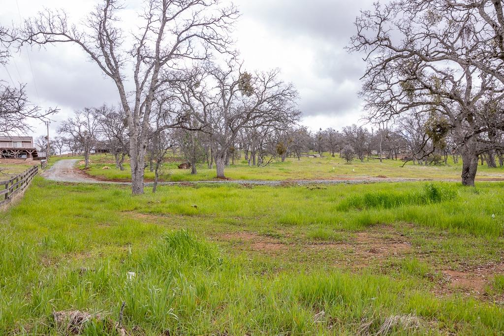 Photo 8 of 20 of 4495 Arbolada Drive land