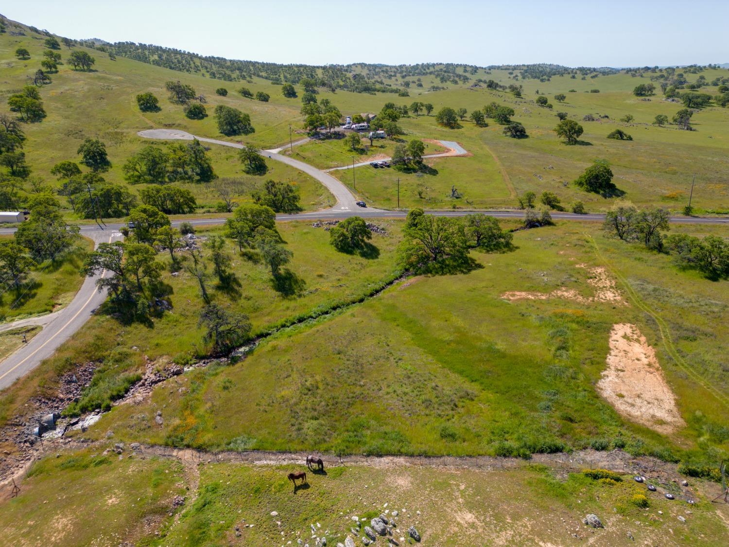 Photo 7 of 12 of 9375 Banderilla Drive land