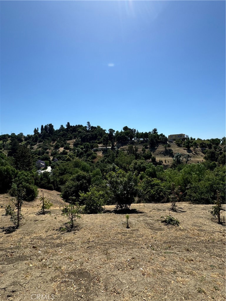 Photo 1 of 1 of 1710 Pueblo Crest Lane house