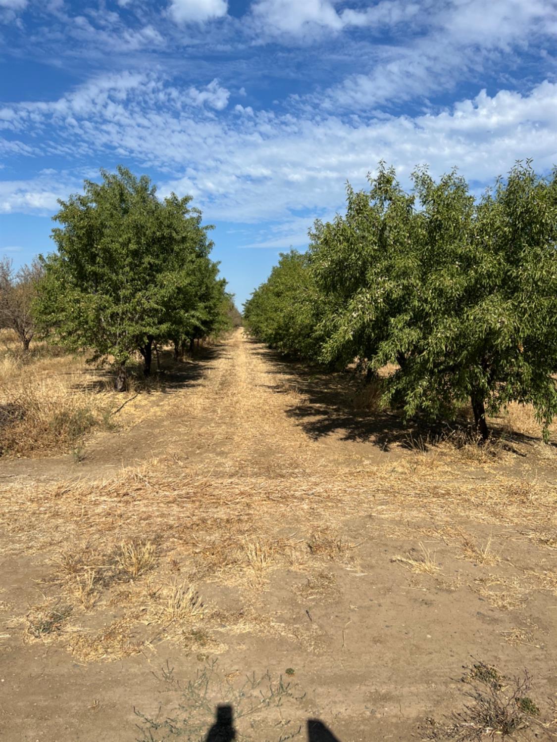 Photo 8 of 11 of 4261 Clausen Road land