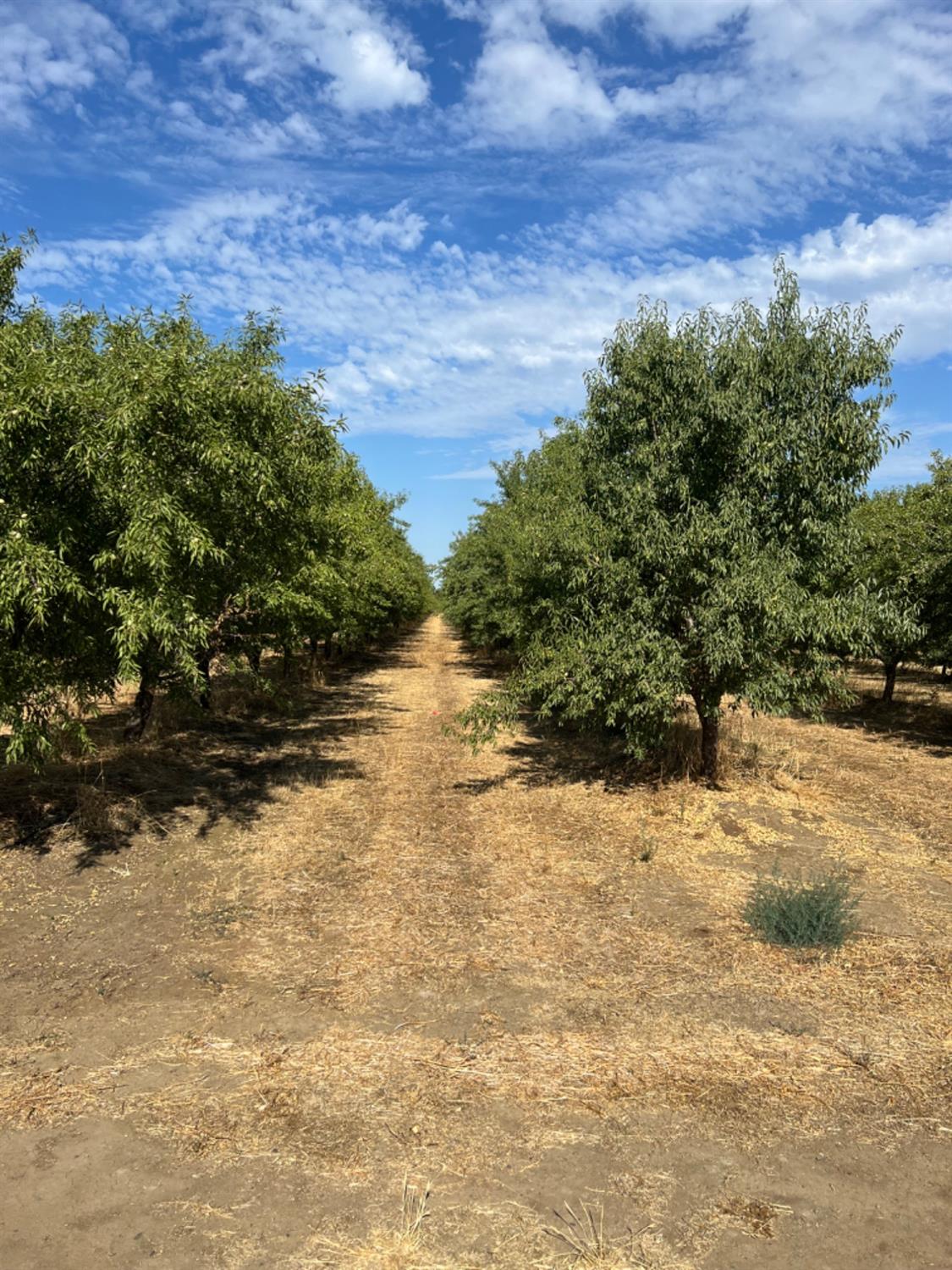 Photo 9 of 11 of 4261 Clausen Road land