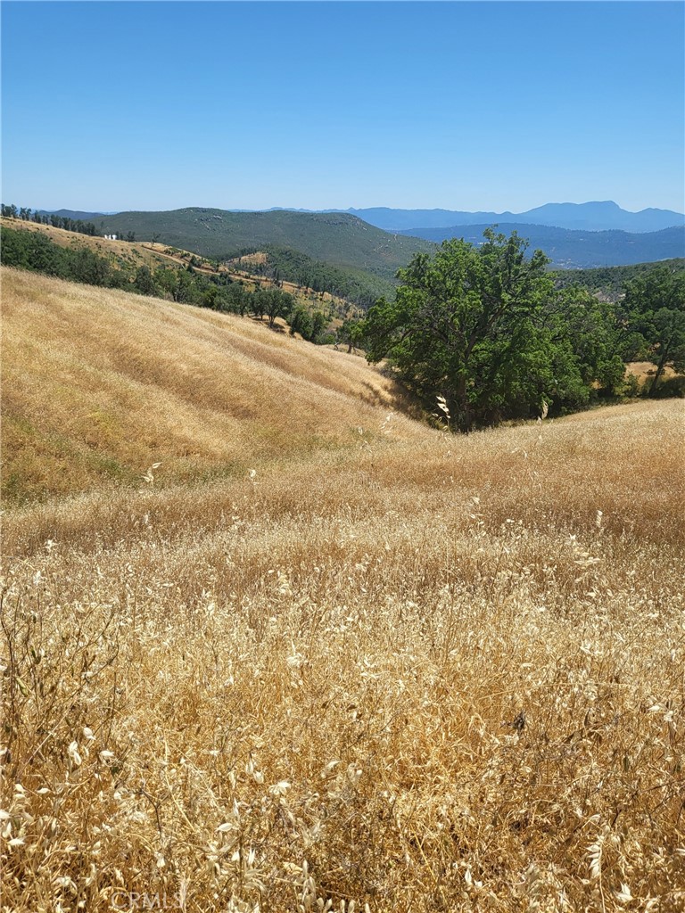 Photo 3 of 5 of 21500 Morgan Valley Road land