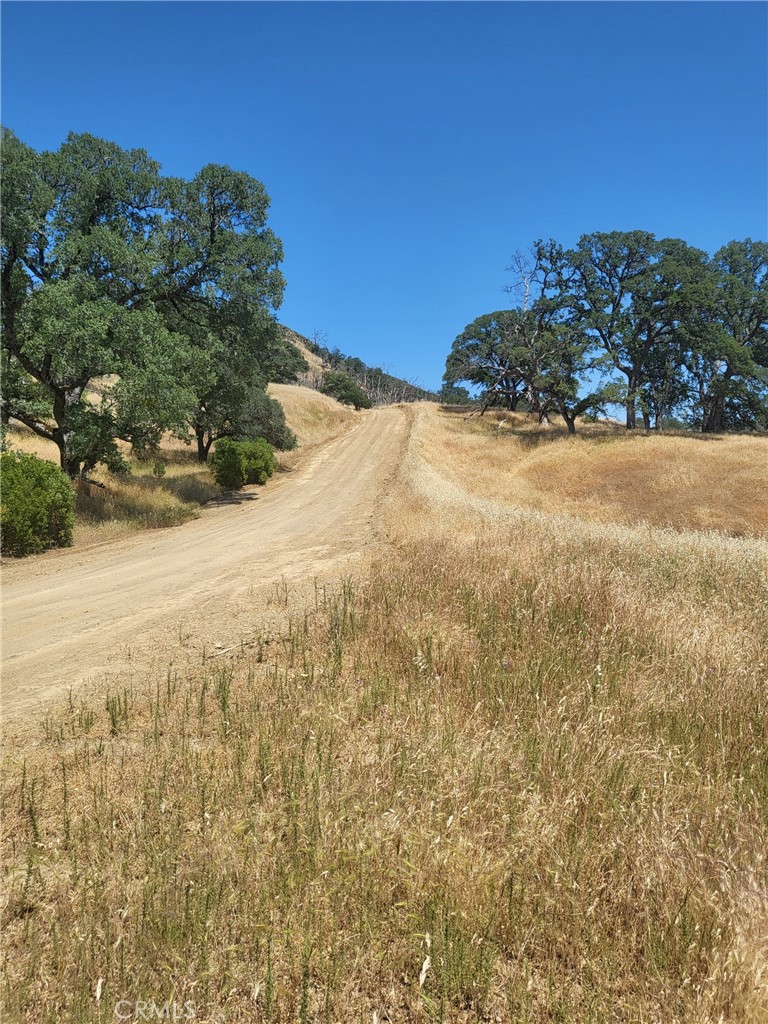 Photo 4 of 5 of 21500 Morgan Valley Road land