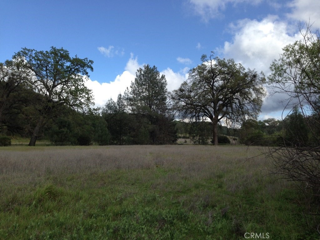 Photo 1 of 6 of 10150 Rocky Creek Road land