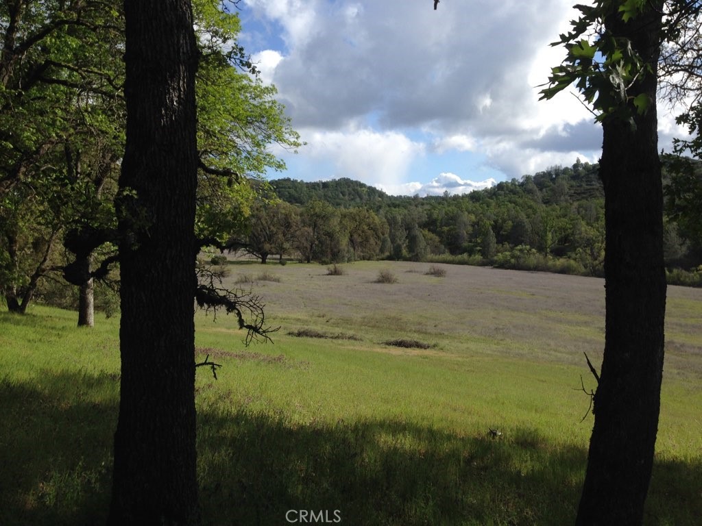 Photo 3 of 6 of 10150 Rocky Creek Road land