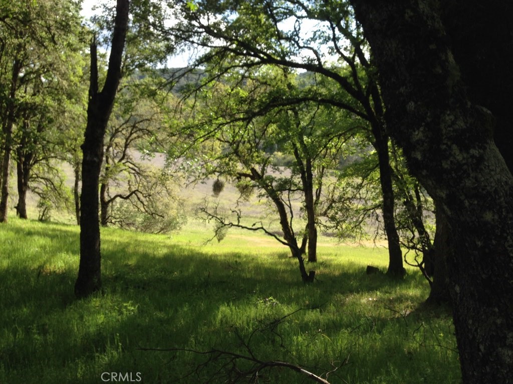 Photo 5 of 6 of 10150 Rocky Creek Road land