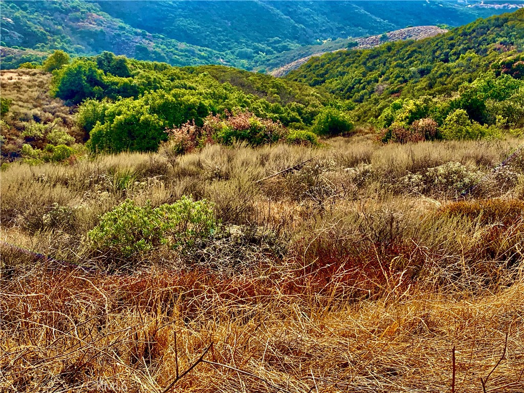 Photo 24 of 38 of 9187 Black Star Canyon Road land