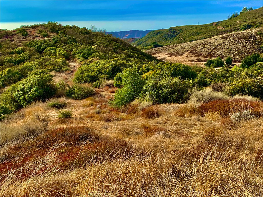 Photo 26 of 38 of 9187 Black Star Canyon Road land