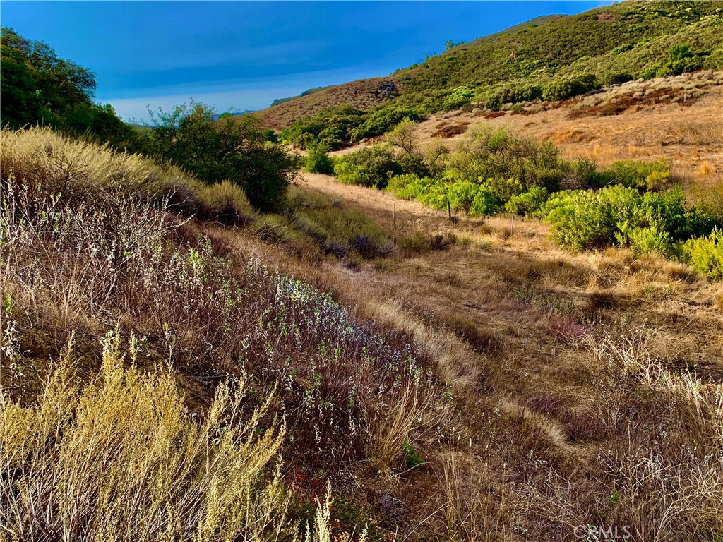 Photo 35 of 38 of 9187 Black Star Canyon Road land