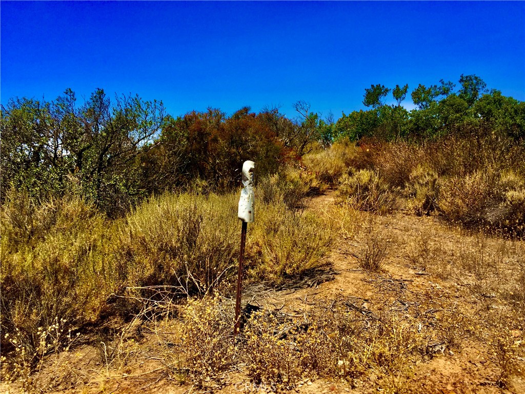 Photo 6 of 38 of 9187 Black Star Canyon Road land