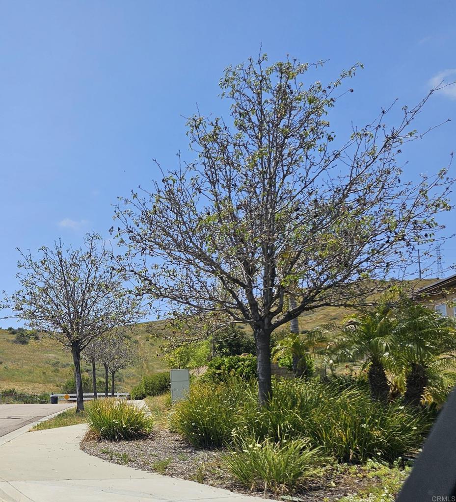 View Real Estate at 0 Santee, Santee, CA 92071 Unreal Estate