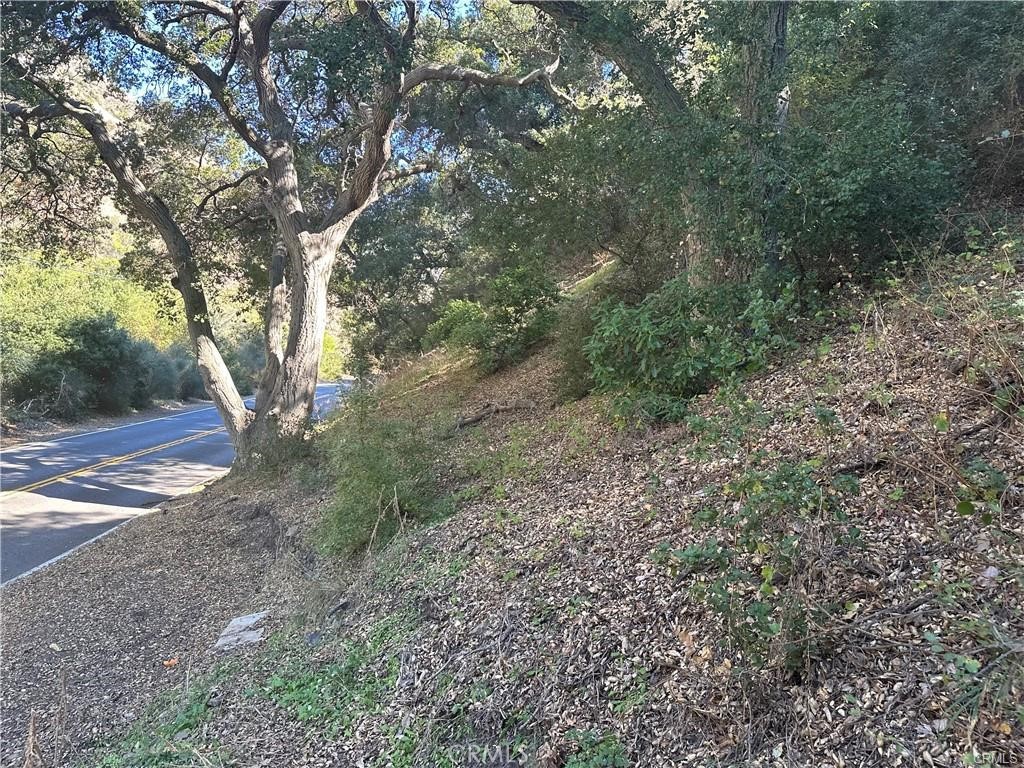 Photo 5 of 10 of 30842 Silverado Canyon land