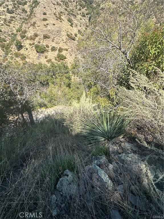 Photo 7 of 10 of 30842 Silverado Canyon land