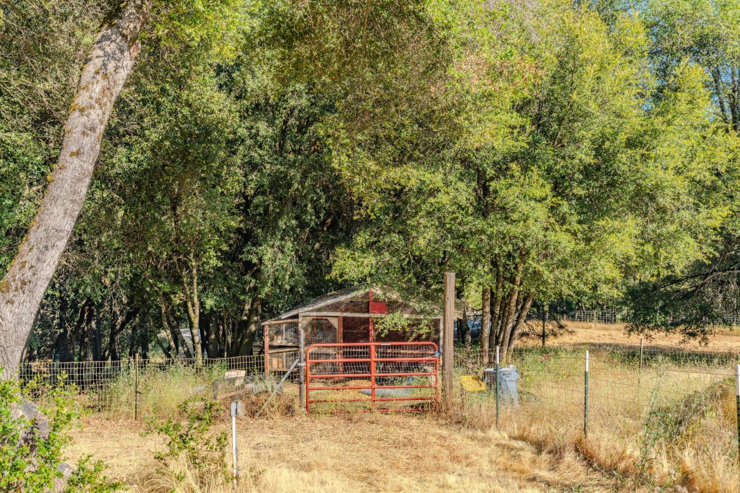 Photo 9 of 44 of 18961 Shake Ridge Road house