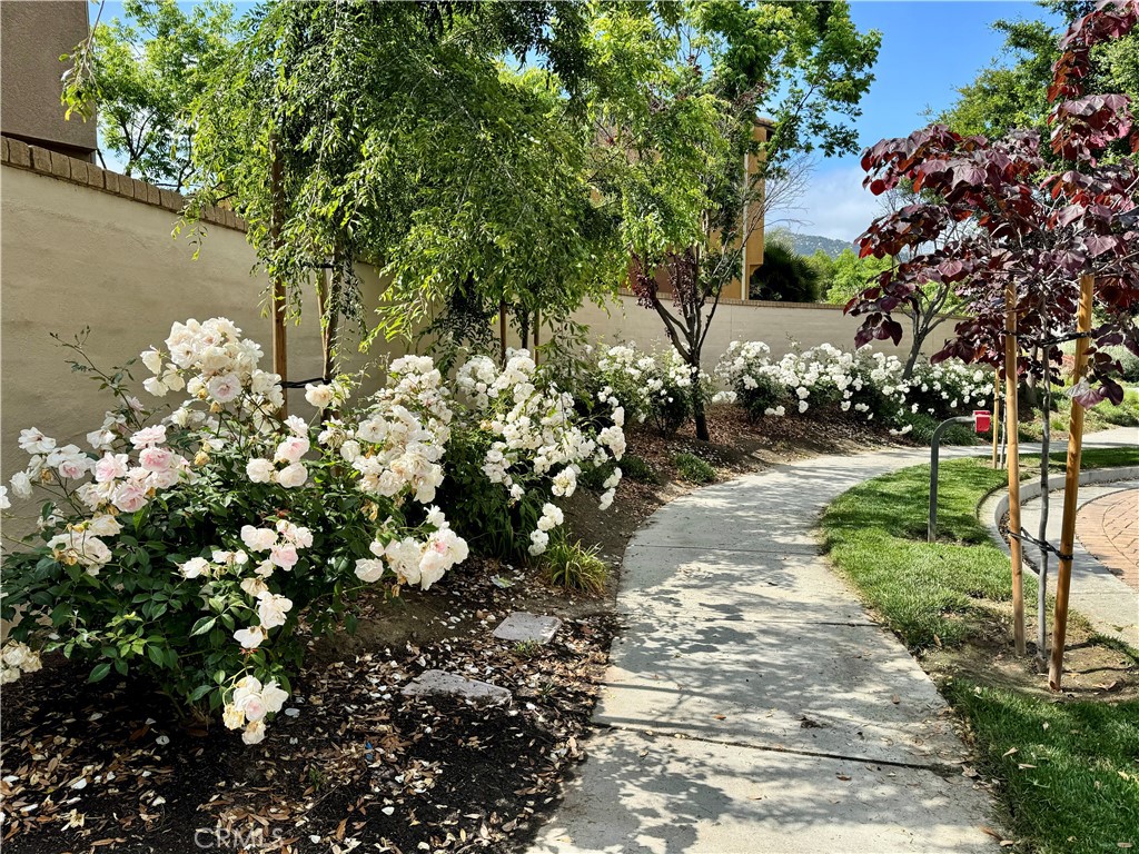 Photo 9 of 12 of 31189 Black Maple Drive townhome