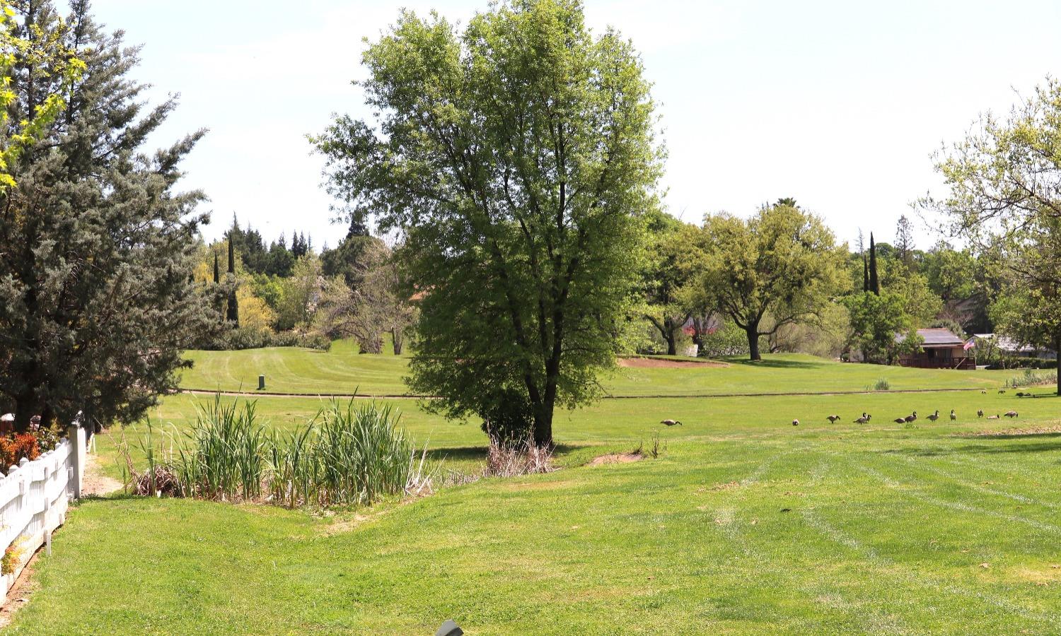 Photo 6 of 12 of 884 Saint Andrews Drive land