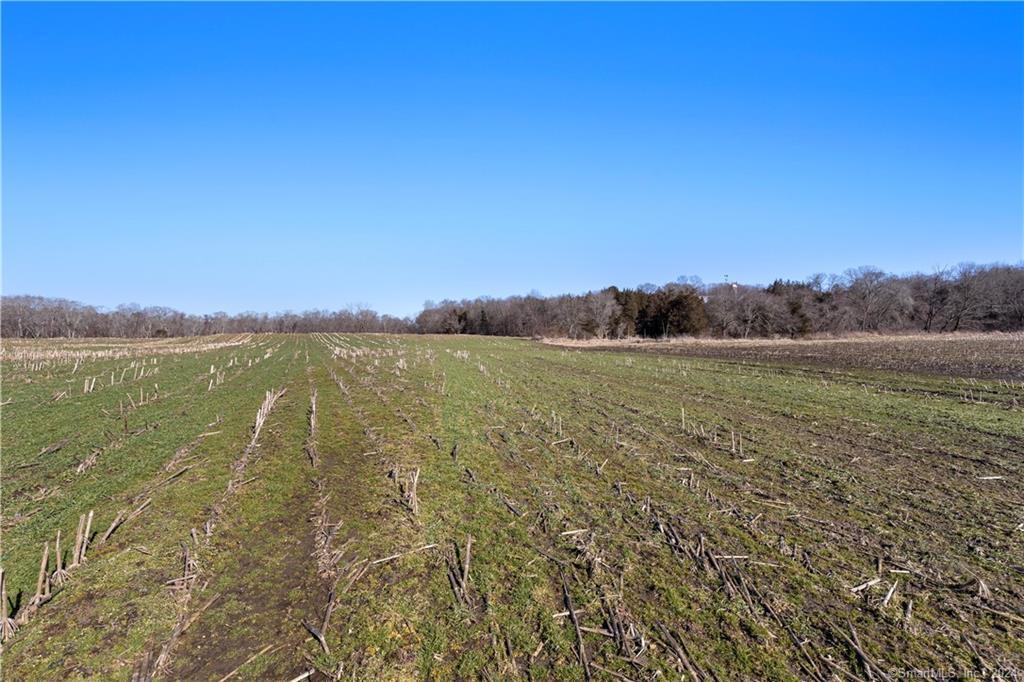 Photo 16 of 25 of 170 Bishop Crossing Road land