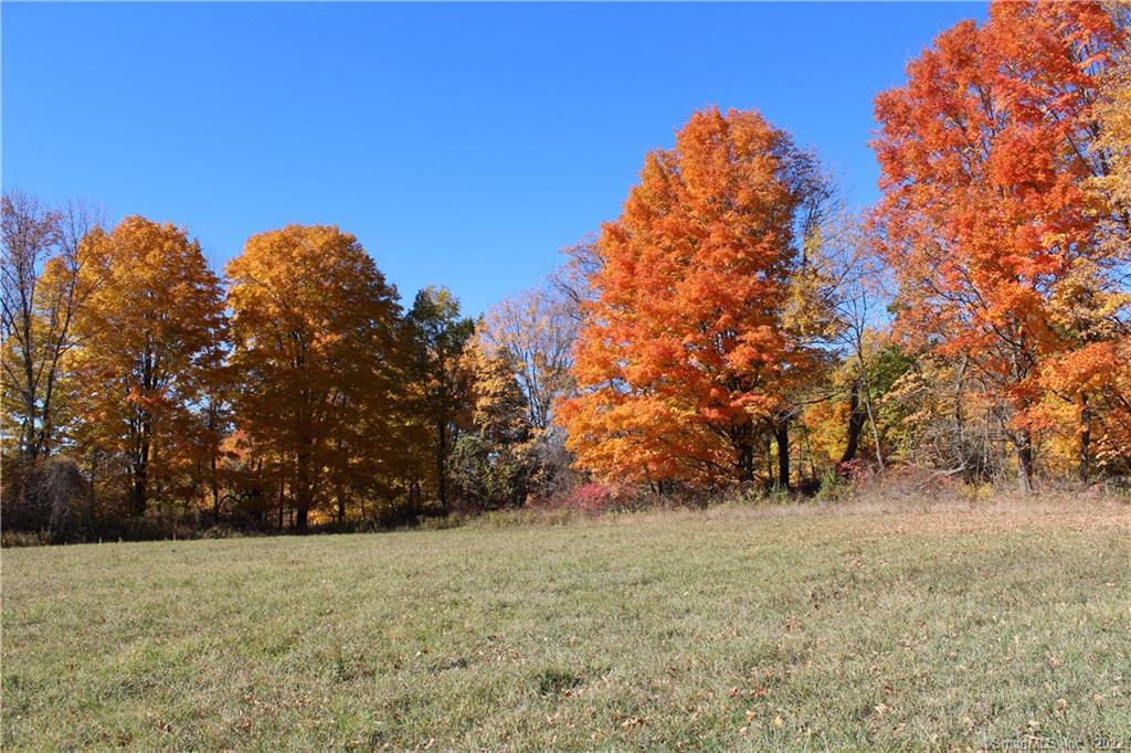 Photo 16 of 21 of 0 Chestnut Land Road land