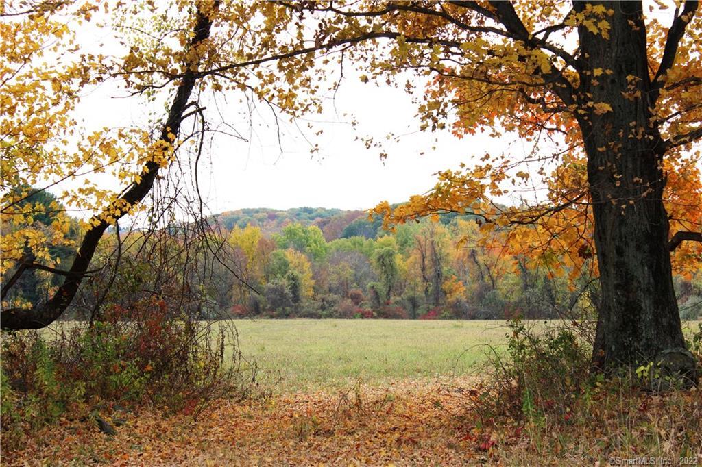 Photo 14 of 21 of 0 Chestnut Land Road land