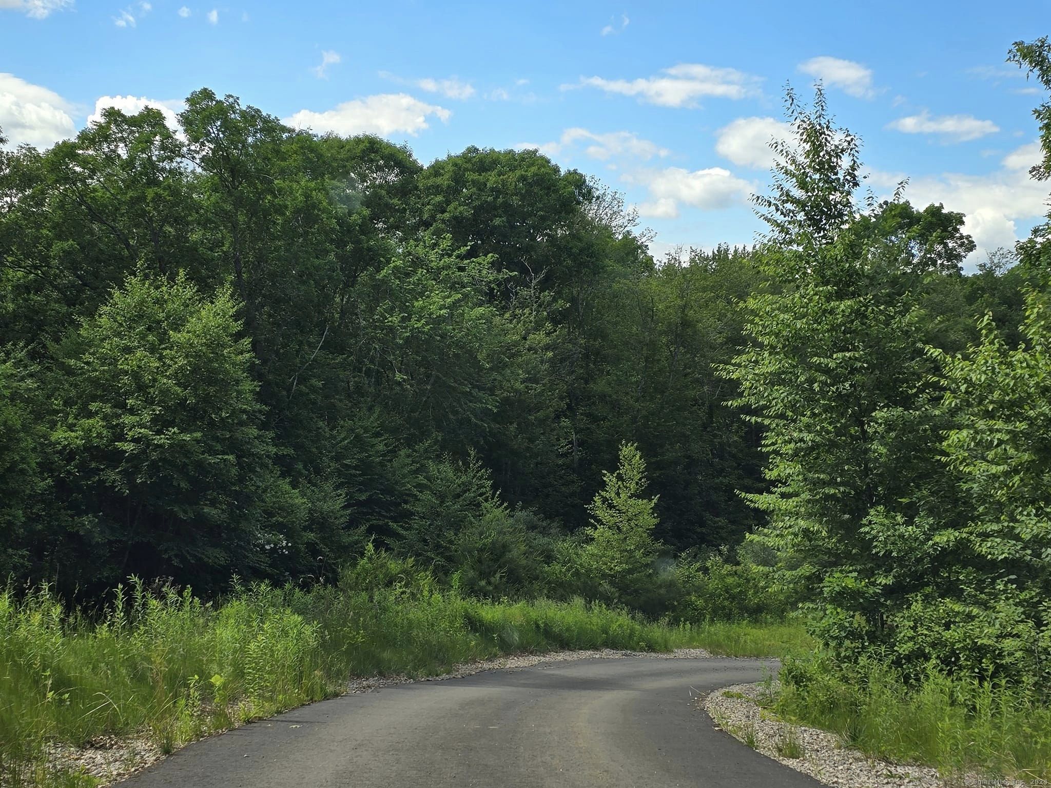 Photo 5 of 5 of 14 Wildflower Trail land