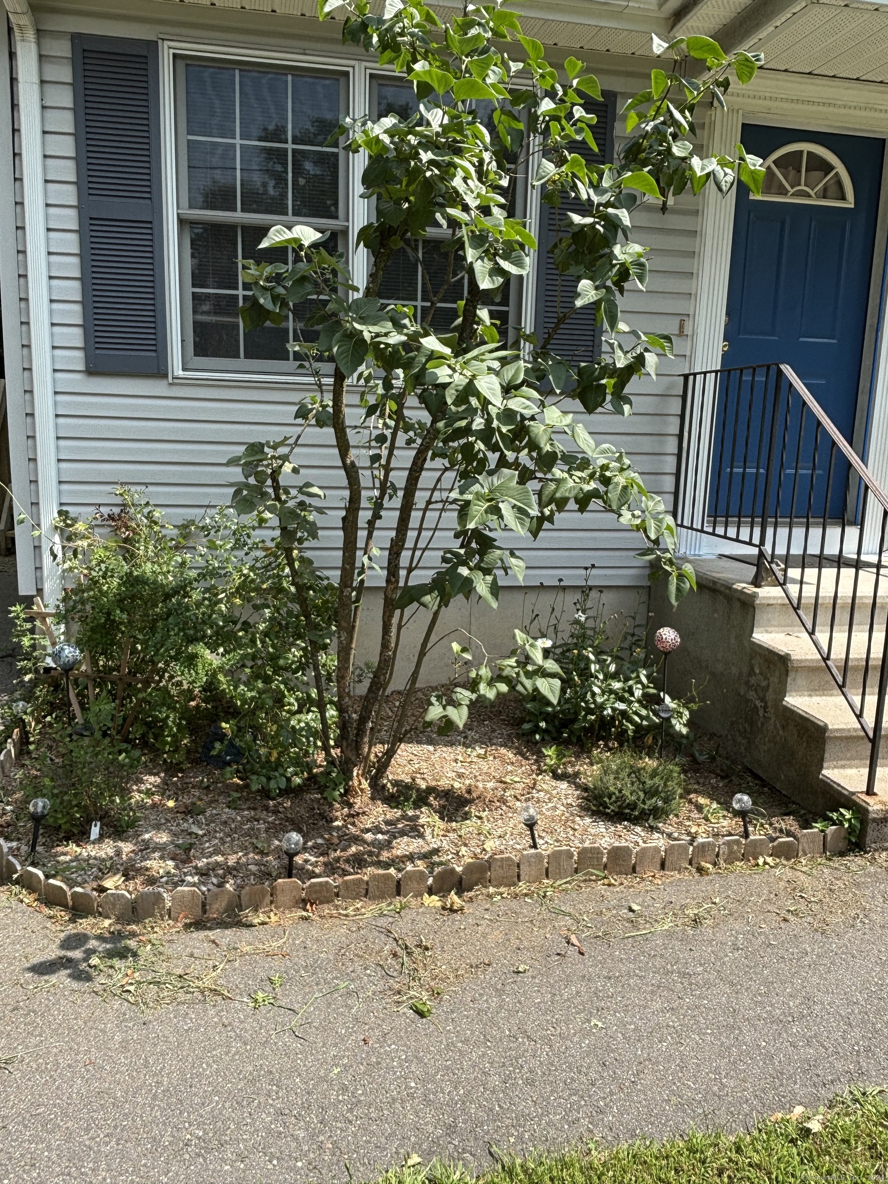 Photo 11 of 25 of 30 Farmington Avenue house