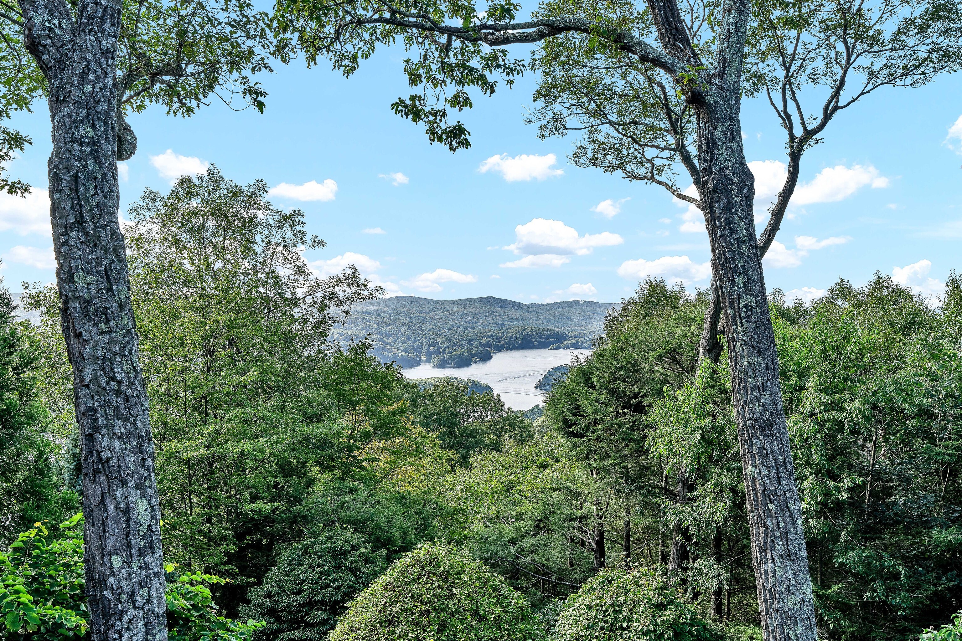 Photo 8 of 40 of 15 Skyline Drive house