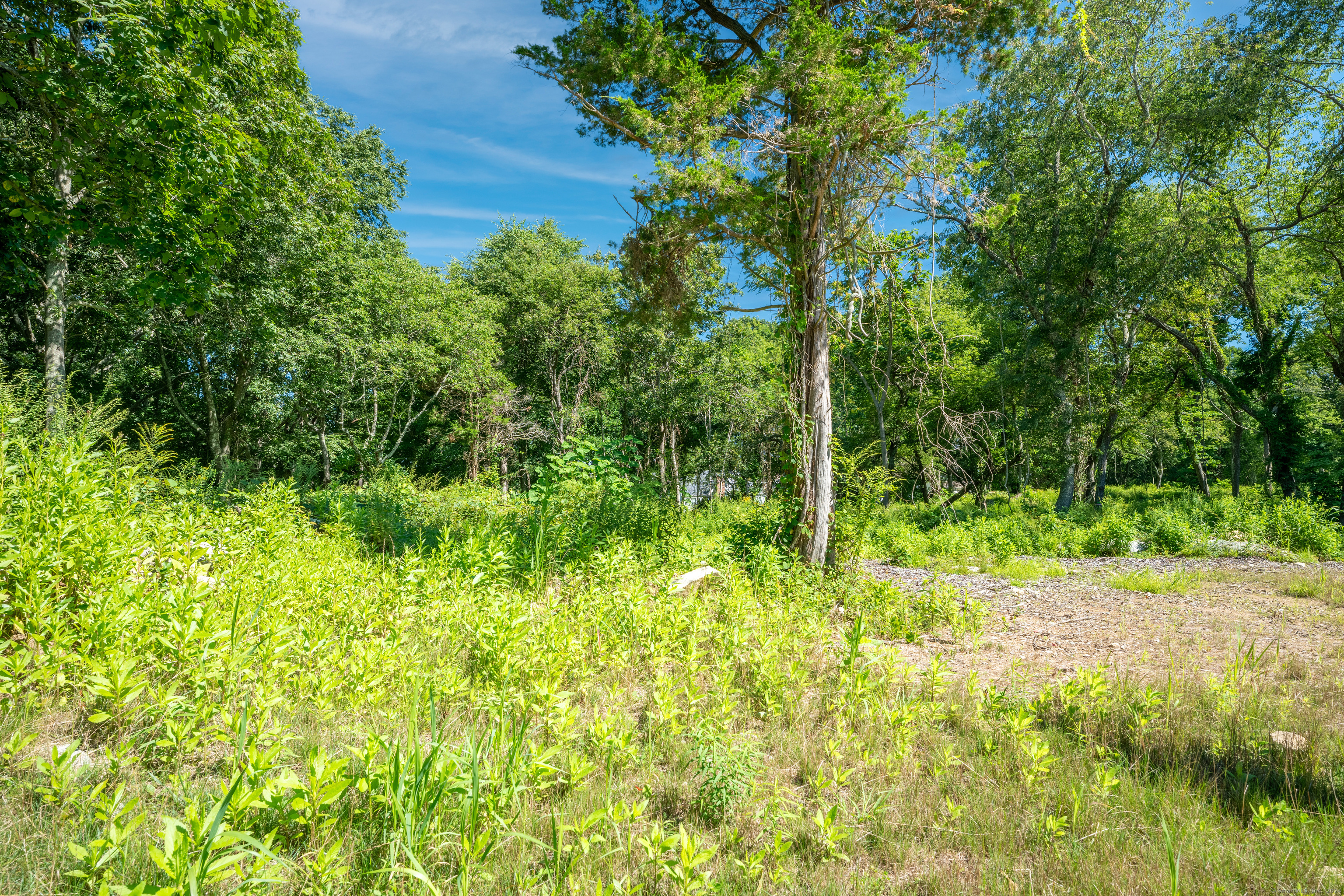 Photo 6 of 38 of 12 Kingfisher Way land