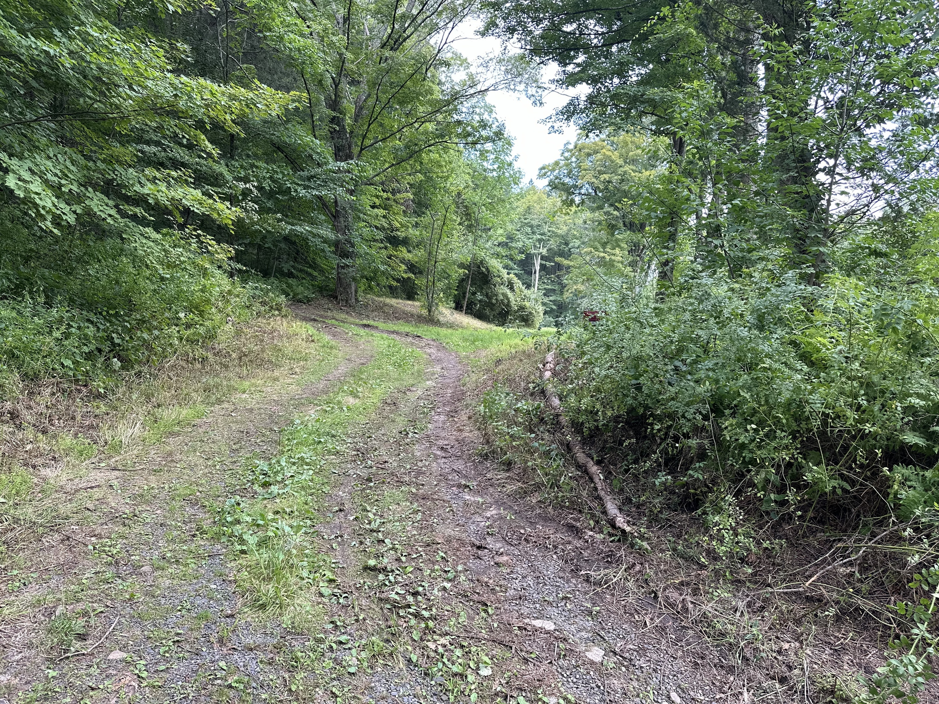 Photo 1 of 9 of 410 Nettleton Hollow Road land