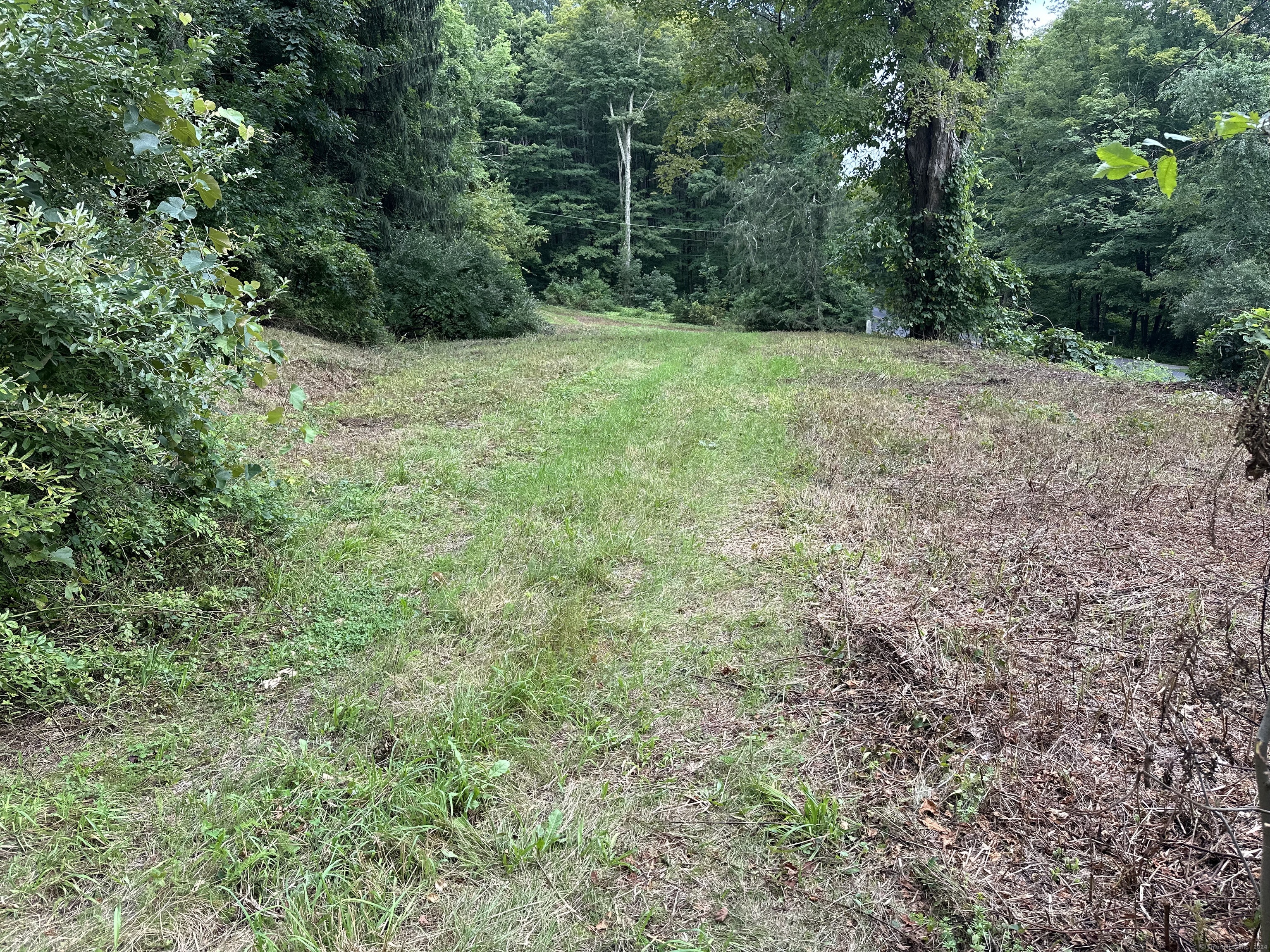 Photo 8 of 9 of 410 Nettleton Hollow Road land