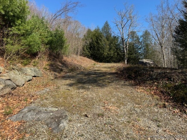 Photo 1 of 8 of 287 Colebrook Road land