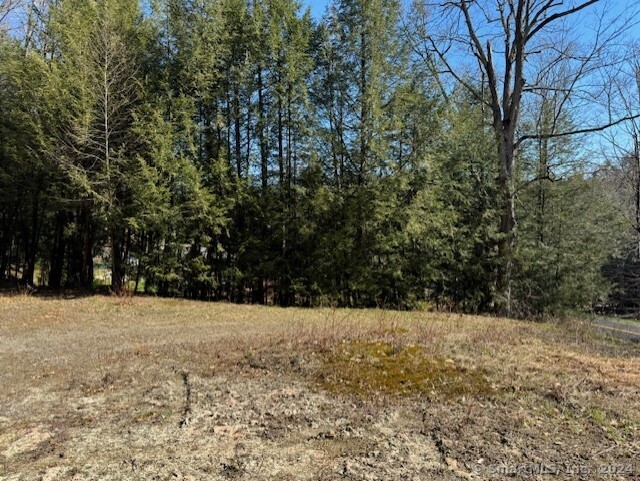 Photo 3 of 8 of 287 Colebrook Road land