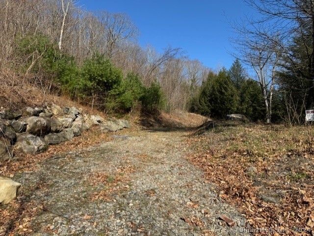 Photo 4 of 8 of 287 Colebrook Road land