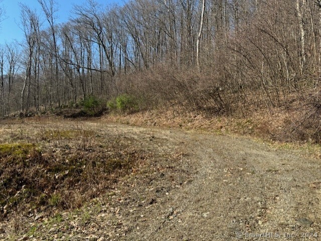 Photo 5 of 8 of 287 Colebrook Road land