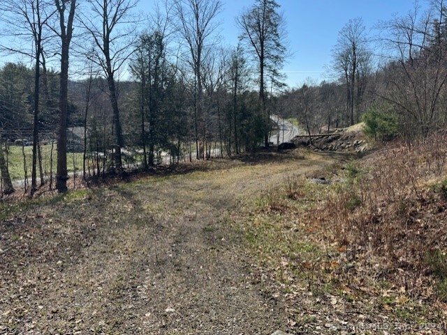 Photo 6 of 8 of 287 Colebrook Road land