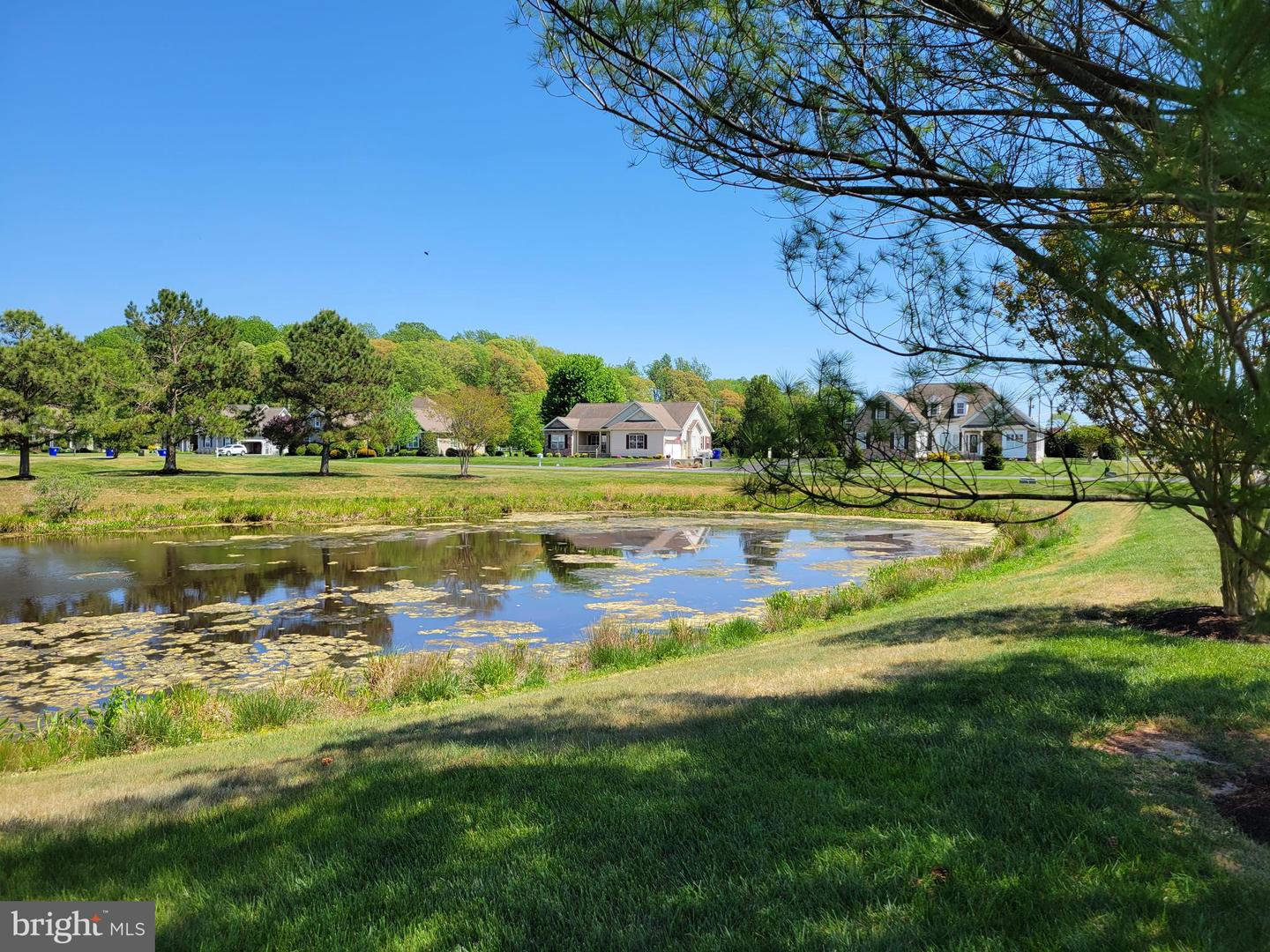 Photo 5 of 52 of 16398 Winding River Dr house