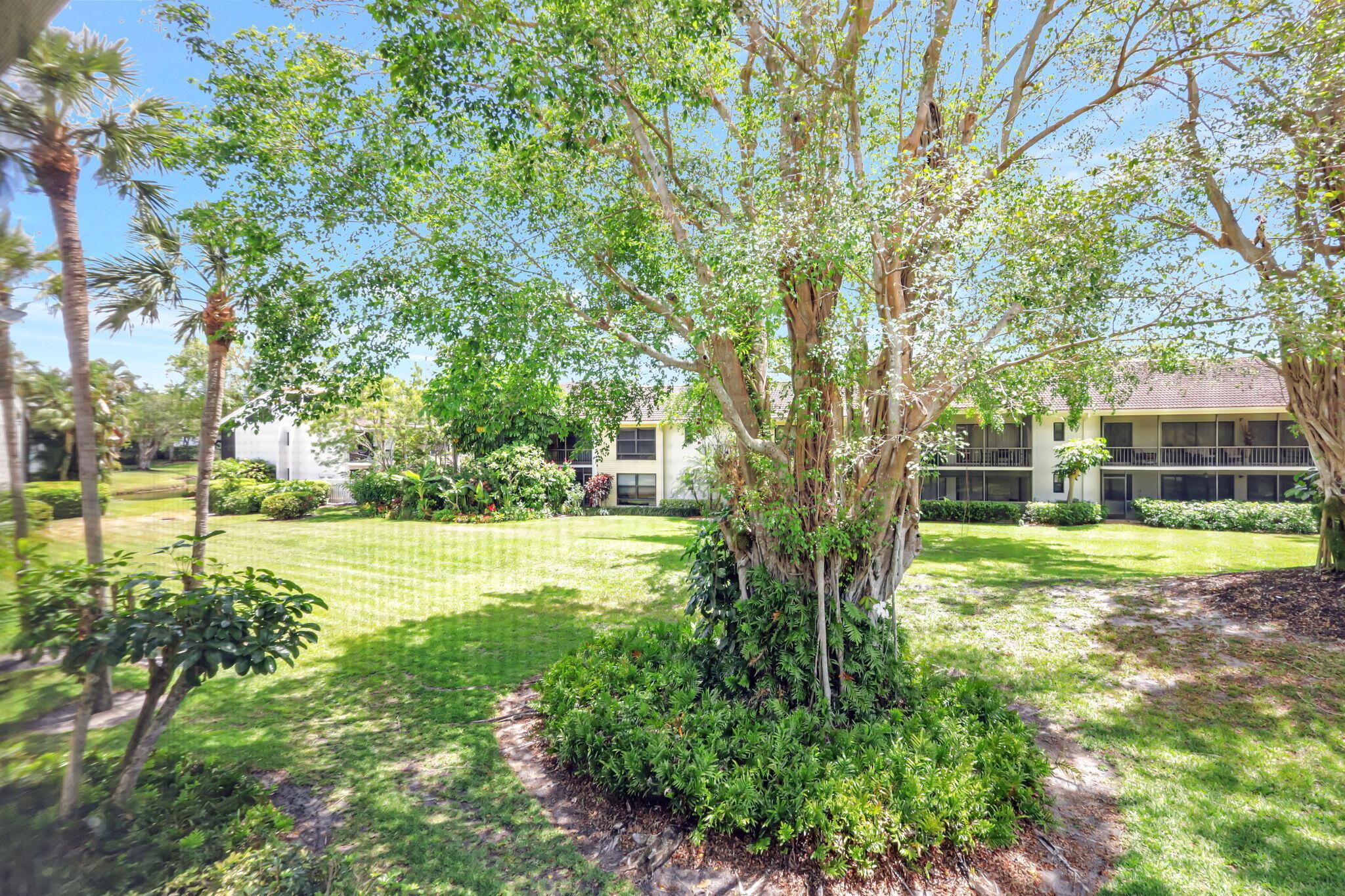 Photo 41 of 62 of 6890 Willow Wood Drive 206 condo