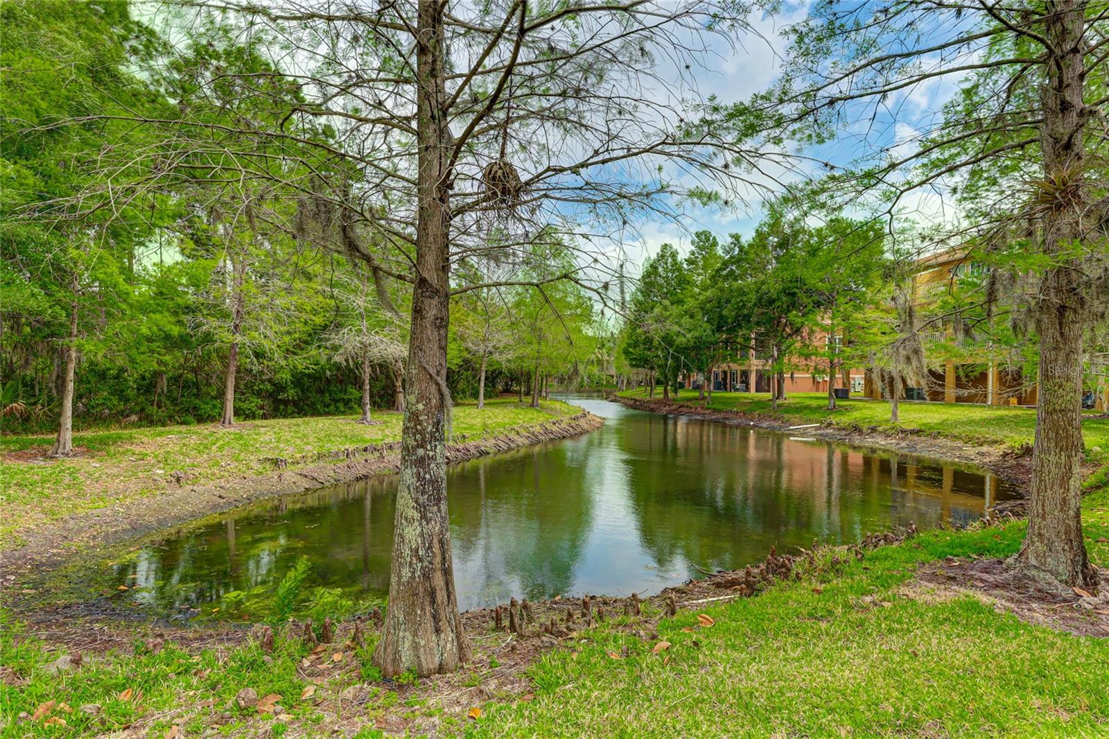 Photo 5 of 27 of 8661 MAJESTIC ELM COURT townhome