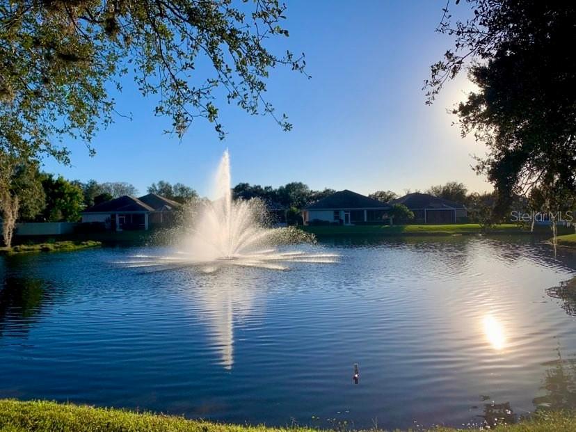 Photo 55 of 59 of 6288 GRAND CYPRESS BOULEVARD house