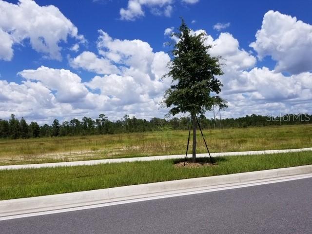 Photo 5 of 7 of S APOPKA VINELAND ROAD land