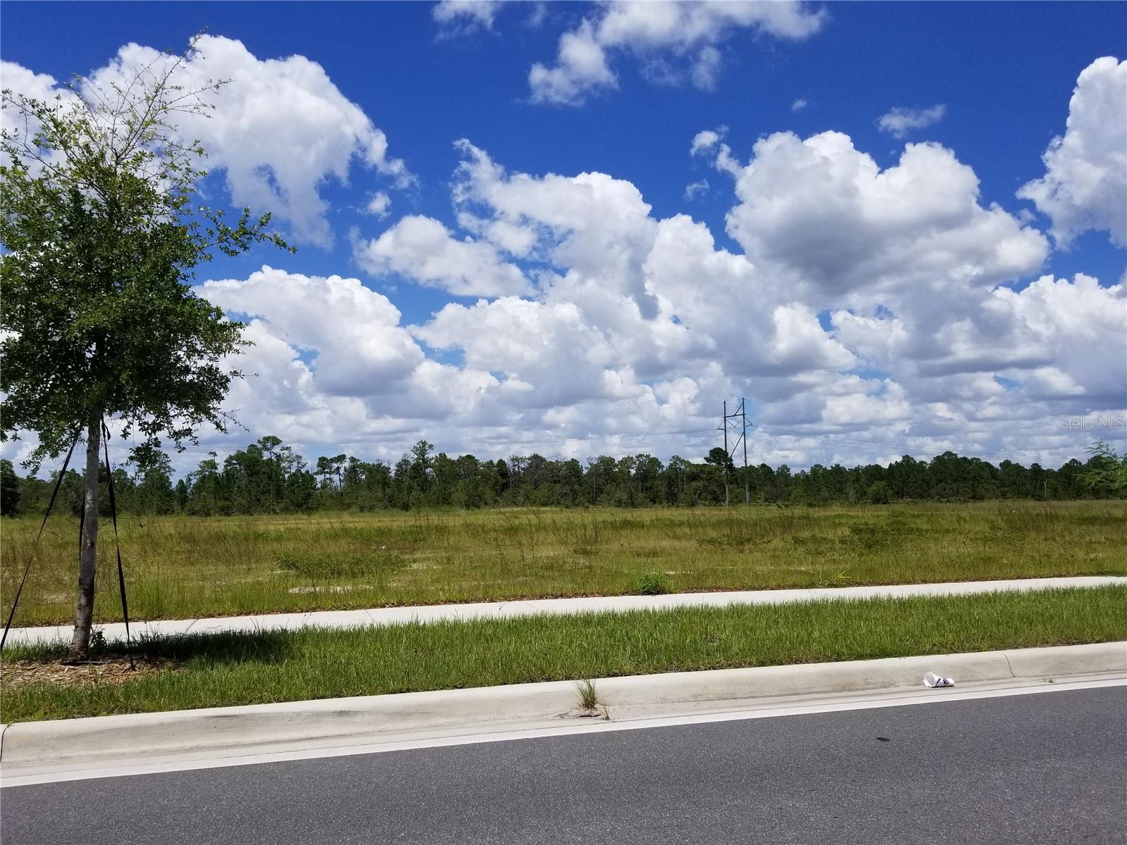 Photo 6 of 7 of S APOPKA VINELAND ROAD land