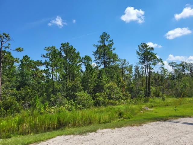 Photo 7 of 7 of S APOPKA VINELAND ROAD land