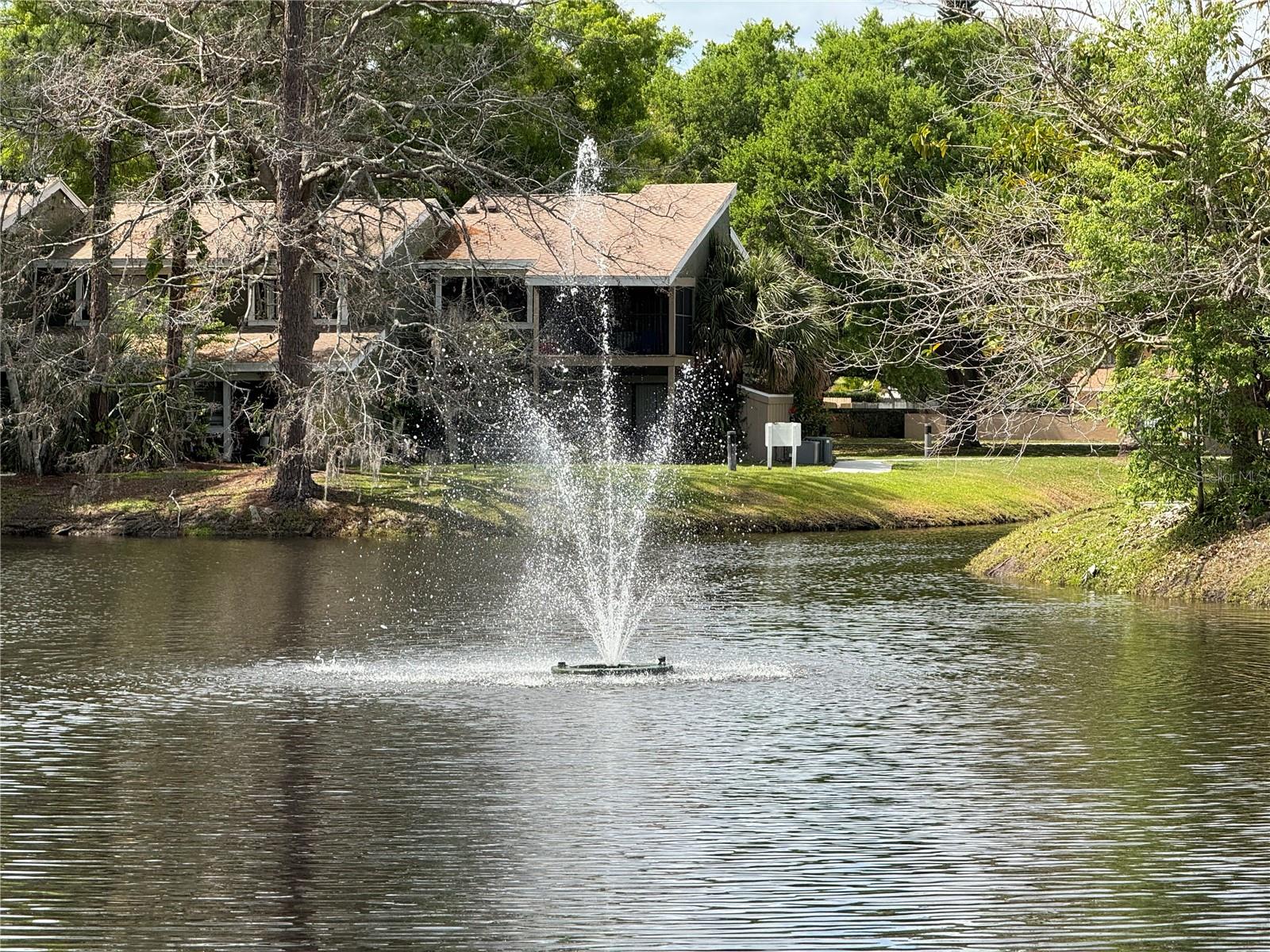 Photo 47 of 54 of 6021 WINDHOVER DRIVE F11 condo