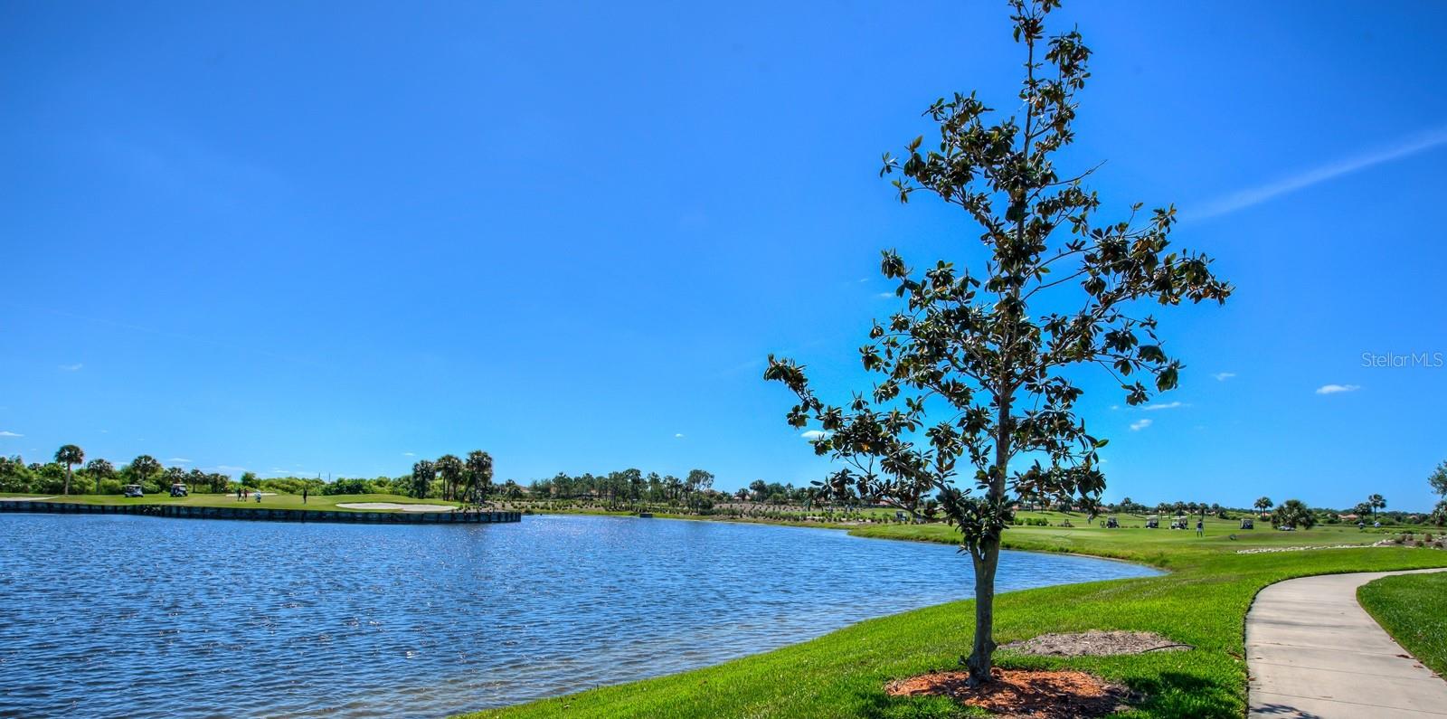 Photo 42 of 76 of 25123 SPARTINA DRIVE house