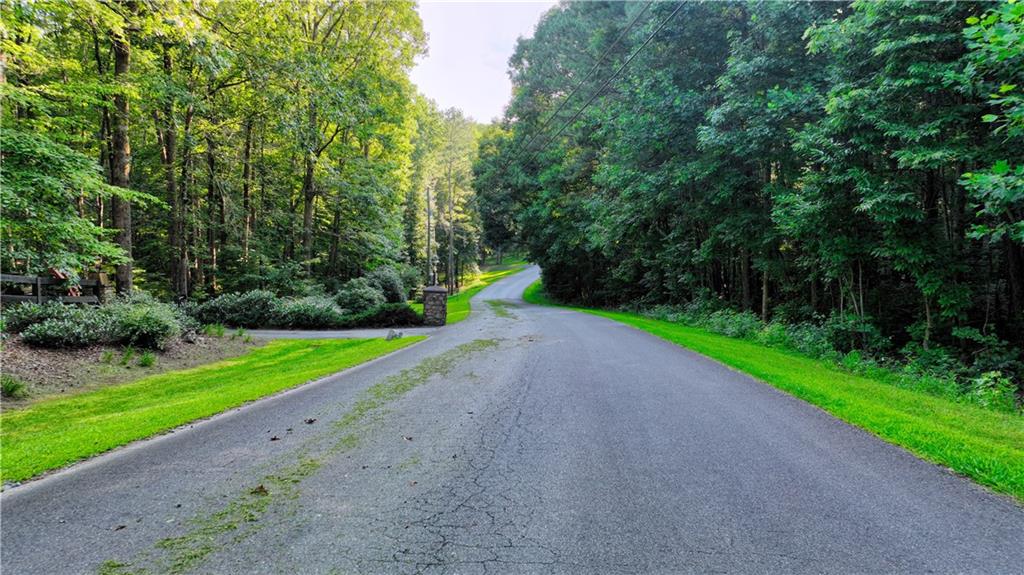 Photo 41 of 67 of 503 Iron Hill Mountain Road Road land