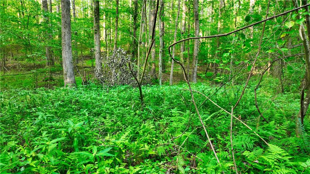 Photo 47 of 67 of 503 Iron Hill Mountain Road Road land