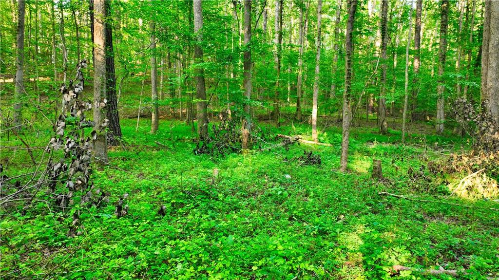 Photo 49 of 67 of 503 Iron Hill Mountain Road Road land