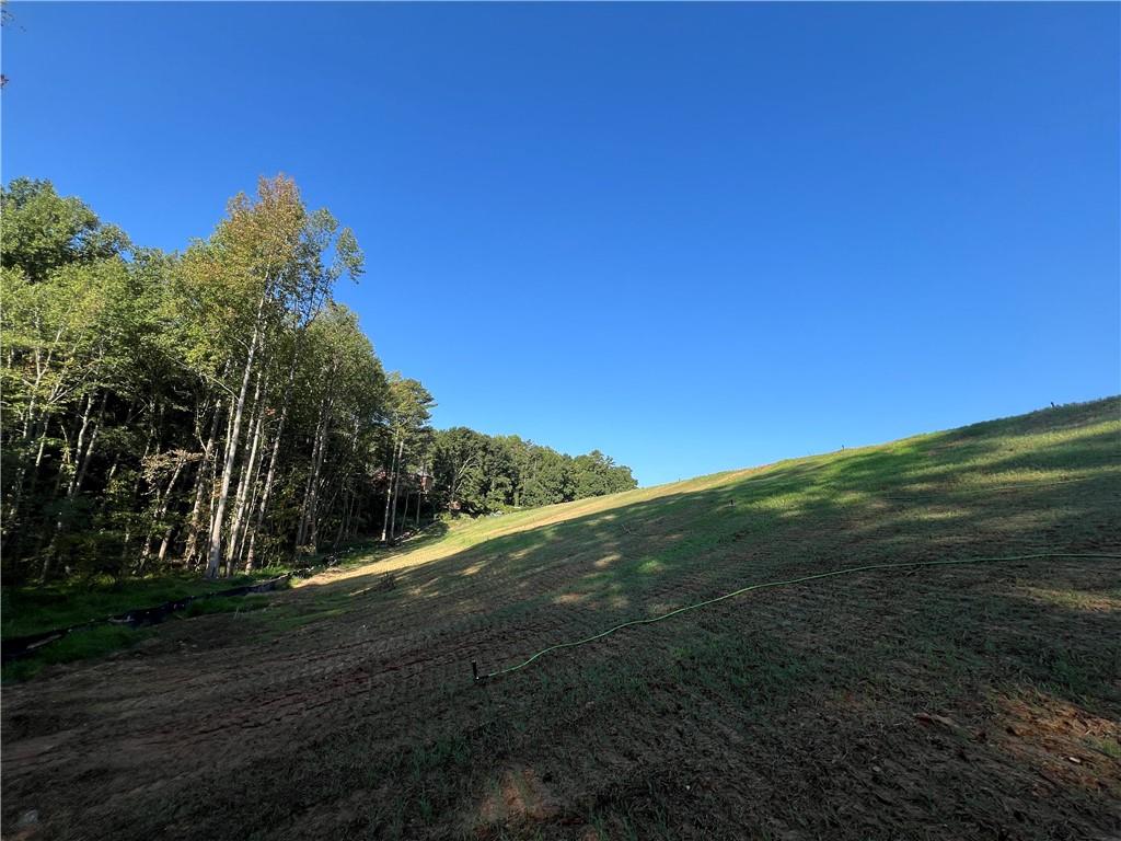 Photo 57 of 67 of 503 Iron Hill Mountain Road Road land