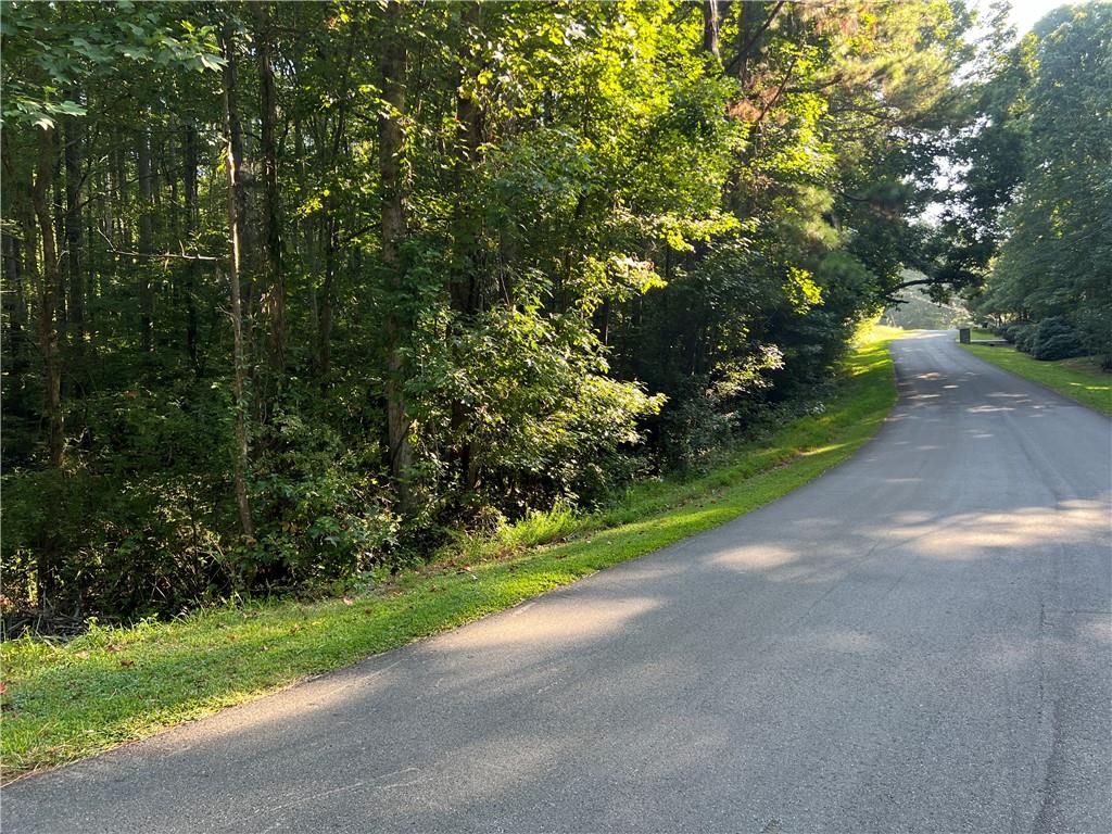 Photo 62 of 67 of 503 Iron Hill Mountain Road Road land