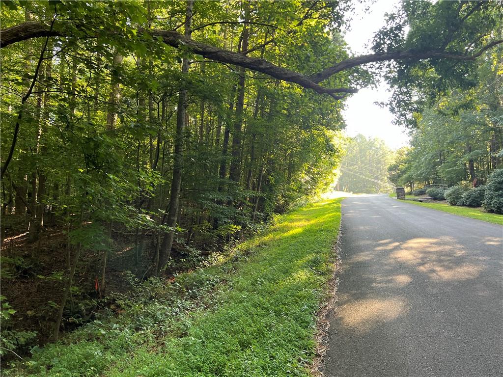 Photo 63 of 67 of 503 Iron Hill Mountain Road Road land