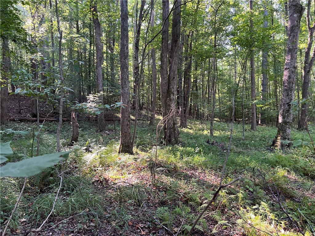 Photo 67 of 67 of 503 Iron Hill Mountain Road Road land